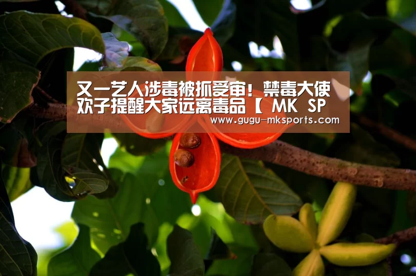  MK SPORTS官方网站 