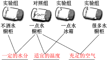  MK SPORTS官方网站 