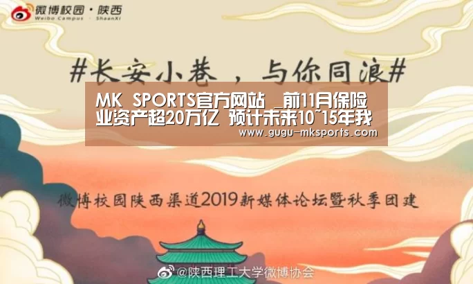  MK SPORTS官方网站 _前11月保险业资产超20万亿 预计未来10~15